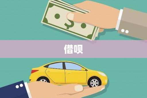 坪山新区借呗