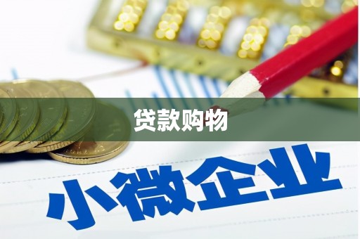 坪山新区贷款购物