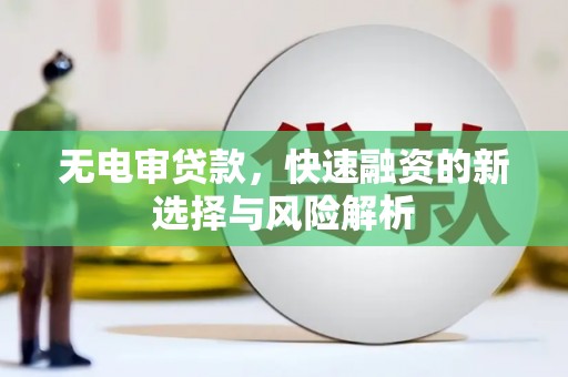 坪山新区无电审贷款，快速融资的新选择与风险解析