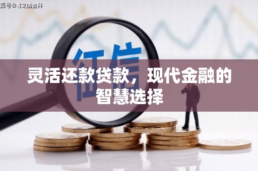 坪山新区灵活还款贷款，现代金融的智慧选择
