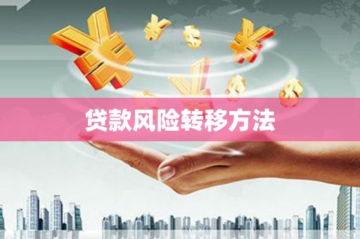 坪山新区贷款风险转移方法
