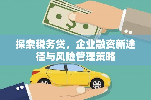 坪山新区探索税务贷，企业融资新途径与风险管理策略