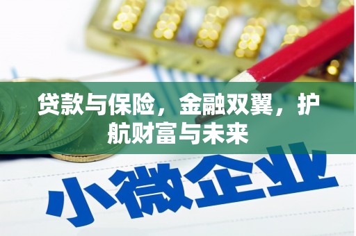 坪山新区贷款与保险，金融双翼，护航财富与未来