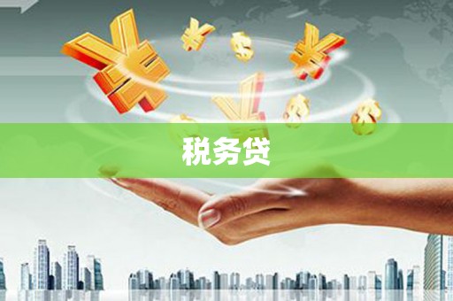 坪山新区税务贷