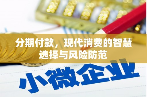 坪山新区分期付款，现代消费的智慧选择与风险防范