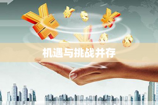 坪山新区机遇与挑战并存