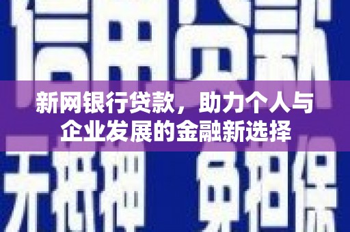 坪山新区新网银行贷款，助力个人与企业发展的金融新选择