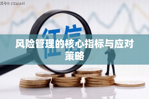 坪山新区风险管理的核心指标与应对策略
