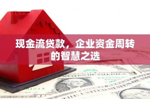 坪山新区现金流贷款，企业资金周转的智慧之选