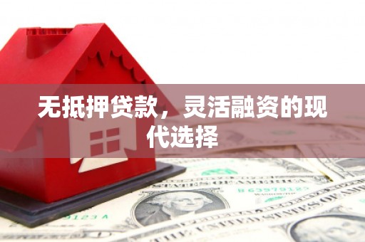 坪山新区无抵押贷款，灵活融资的现代选择