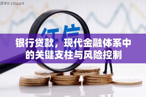 坪山新区银行贷款，现代金融体系中的关键支柱与风险控制