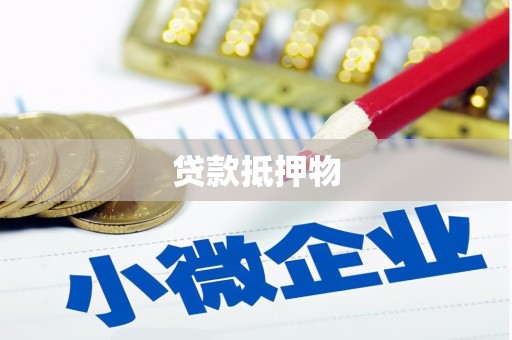 坪山新区贷款抵押物