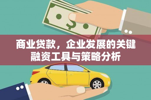 坪山新区商业贷款，企业发展的关键融资工具与策略分析