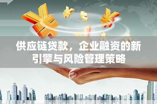 坪山新区供应链贷款，企业融资的新引擎与风险管理策略