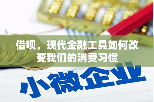 坪山新区借呗，现代金融工具如何改变我们的消费习惯