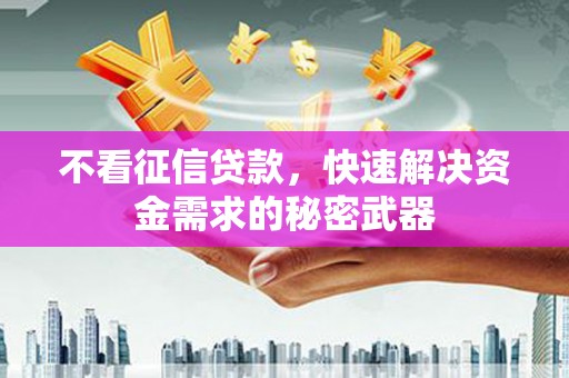 坪山新区不看征信贷款，快速解决资金需求的秘密武器