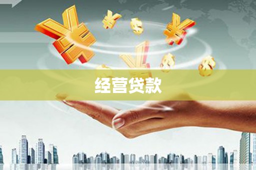 坪山新区经营贷款