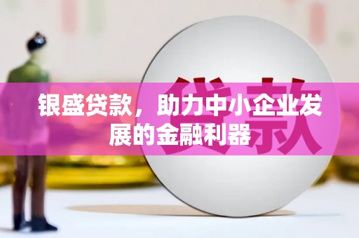 坪山新区银盛贷款，助力中小企业发展的金融利器