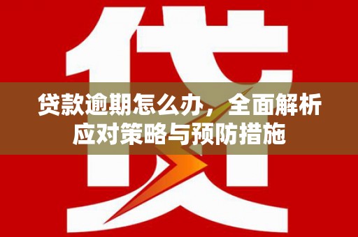 坪山新区贷款逾期怎么办，全面解析应对策略与预防措施