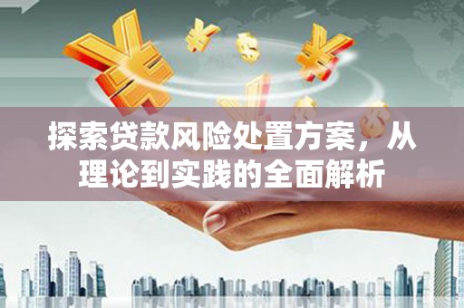 坪山新区探索贷款风险处置方案，从理论到实践的全面解析