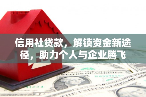 坪山新区信用社贷款，解锁资金新途径，助力个人与企业腾飞