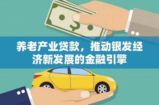 坪山新区养老产业贷款，推动银发经济新发展的金融引擎