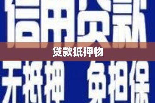 坪山新区贷款抵押物