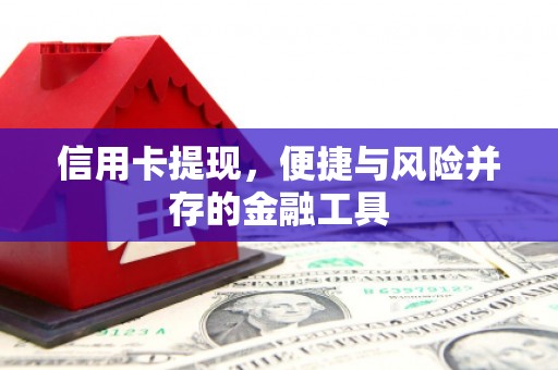 坪山新区信用卡提现，便捷与风险并存的金融工具