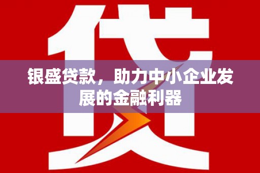 坪山新区银盛贷款，助力中小企业发展的金融利器