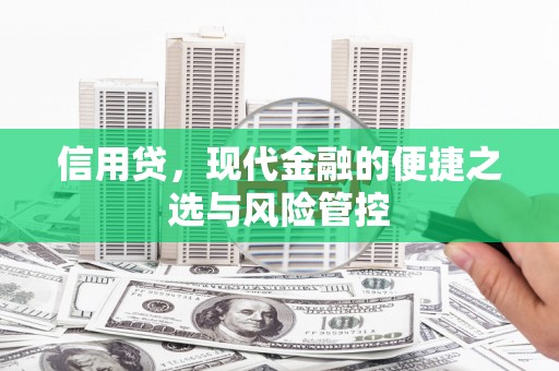 坪山新区信用贷，现代金融的便捷之选与风险管控