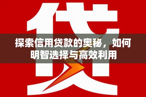 坪山新区探索信用贷款的奥秘，如何明智选择与高效利用