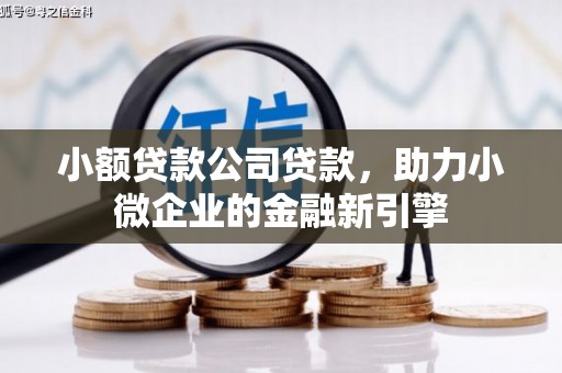 坪山新区小额贷款公司贷款，助力小微企业的金融新引擎