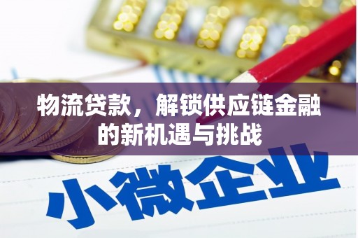 坪山新区物流贷款，解锁供应链金融的新机遇与挑战
