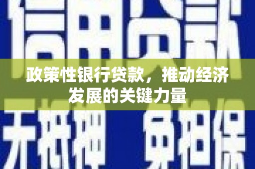 坪山新区政策性银行贷款，推动经济发展的关键力量