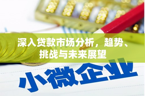 坪山新区深入贷款市场分析，趋势、挑战与未来展望