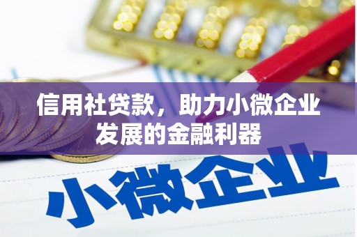 坪山新区信用社贷款，助力小微企业发展的金融利器