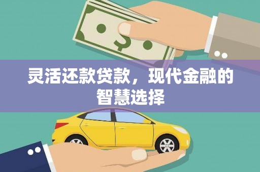 坪山新区灵活还款贷款，现代金融的智慧选择