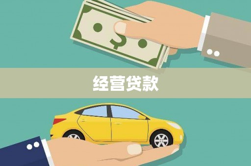 坪山新区经营贷款