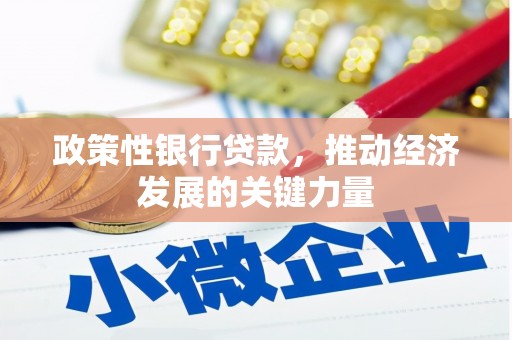 坪山新区政策性银行贷款，推动经济发展的关键力量