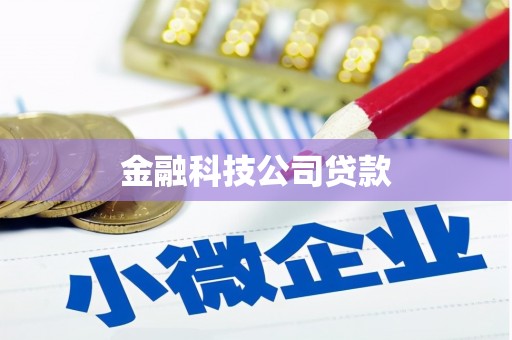 坪山新区金融科技公司贷款