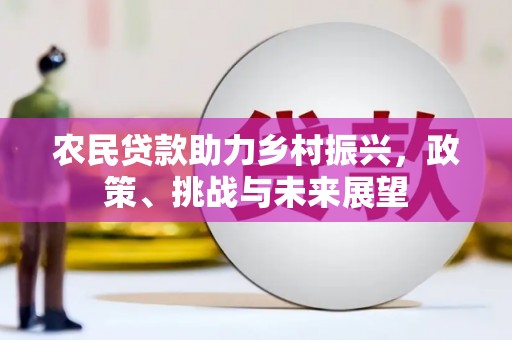 坪山新区农民贷款助力乡村振兴，政策、挑战与未来展望