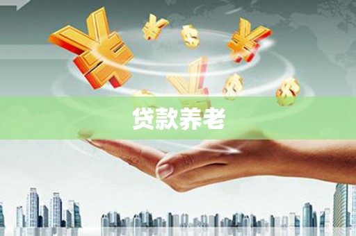 坪山新区贷款养老