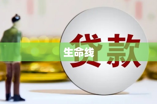坪山新区生命线