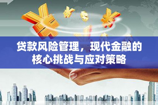 坪山新区贷款风险管理，现代金融的核心挑战与应对策略