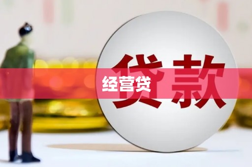 坪山新区经营贷