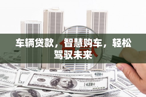 坪山新区车辆贷款，智慧购车，轻松驾驭未来