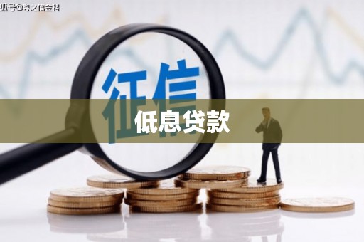坪山新区低息贷款