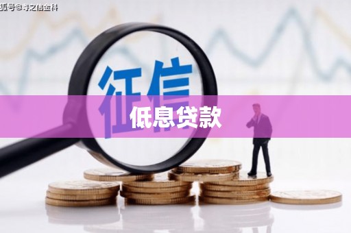 坪山新区低息贷款