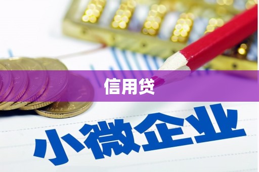 坪山新区信用贷