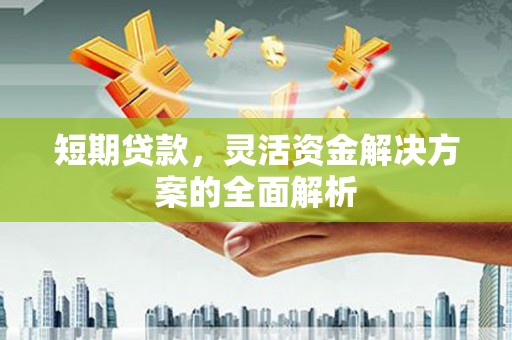 坪山新区短期贷款，灵活资金解决方案的全面解析